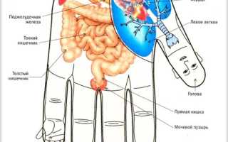 Су-джок и поджелудочная железа