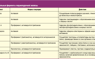 Амилаза поджелудочной железы при панкреатите
