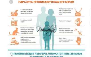 Убивает ли алкоголь глистов?