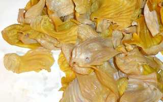 Куриные пупки и желудки от поноса (диареи)